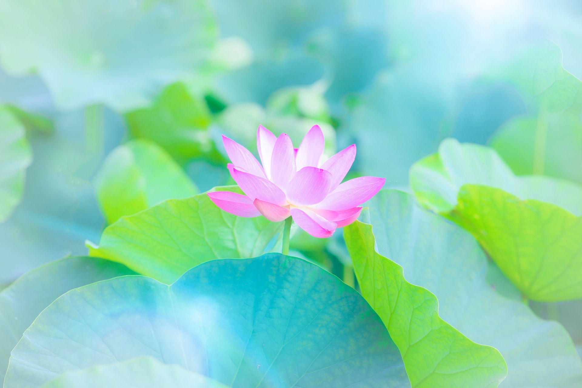 復縁　ソウルメイト